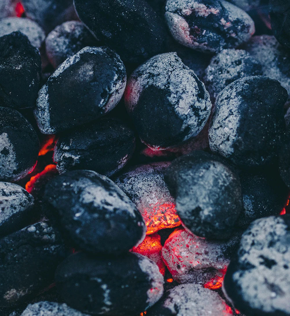 BIO-Holzkohle-Grillbriketts